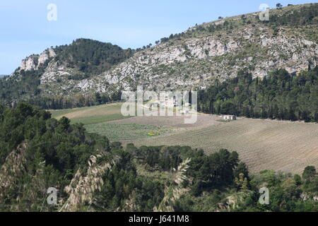 Einen schönen Blick auf bunte Natur Wenn bergauf in Richtung Reste der griechischen Theater in segesta Sizilien Insel. Stockfoto