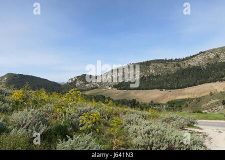 Einen schönen Blick auf bunte Natur Wenn bergauf in Richtung Reste der griechischen Theater in segesta Sizilien Insel. Stockfoto