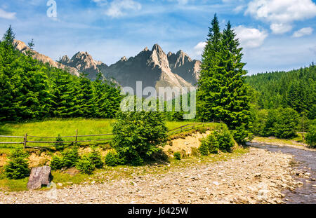 zusammengesetzte Sommerlandschaft mit Bäumen auf einer Klippe Aminosäureaustausch Ufer eines klaren Flusses am Fuße des epischen hohe Tatra Bergrücken mit felsigen Gipfeln unter b Stockfoto