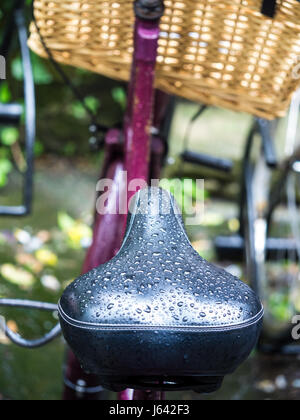 Nasse Sättel nach einem Regenschauer Stockfoto