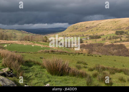 ungewöhnliche Wetter im Conwy Valley (Starkregen im unteren Tal mit Sonnenschein in den oberen Weiden) Snowdonia National Park, Wales Stockfoto