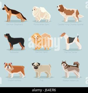 Hund flach Icons set Stock Vektor