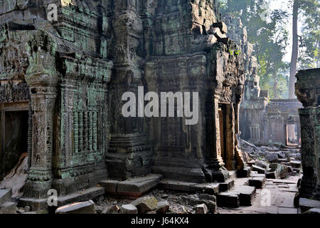 Stock Foto - Dschungel Überwucherung im Ta Prohm Tempel (Rajavihara), Provinz Siem Reap, Kambodscha, Angkor, UNESCO-Weltkulturerbe Stockfoto