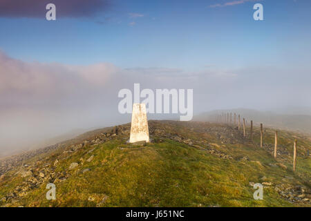 Hill-Nebel umhüllt den Gipfel Trig große steinige Hügel bei Sonnenaufgang, obere Teesdale, County Durham, Großbritannien Stockfoto