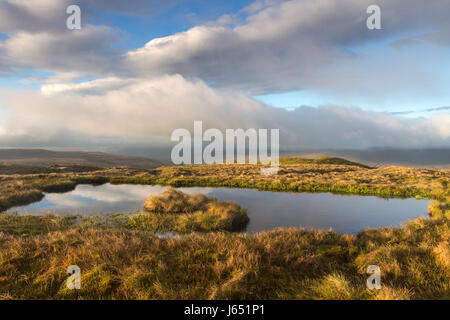 Moorlandschaft Moorbecken, sowie Hochwasserschutz Diese sind ein wichtiges Habitat für viele Tierarten wie Amphibien und Wirbellose, Großbritannien Stockfoto