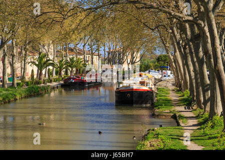 Frankreich, Aude, Salleles-d'Aude, Kreuzungskanal oder Kreuzungskanal mit der Robine, verankerte Boote Stockfoto