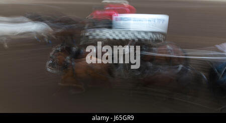 Bewegungsunschärfe Chuckwagon Rennen an die jährliche Calgary Stampede, Calgary, Alberta, Kanada Stockfoto