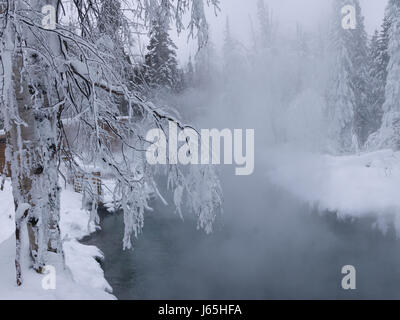 Dampf aus heißen Quellen, Liard River Hot Springs Provincial Park, Northern Rockies Regional Municipality, Britisch-Kolumbien, Kanada Stockfoto