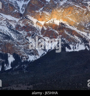 Luftaufnahme von Bäumen auf Berg, Highway 16, Jasper, Jasper Nationalpark, Alberta, Kanada Stockfoto