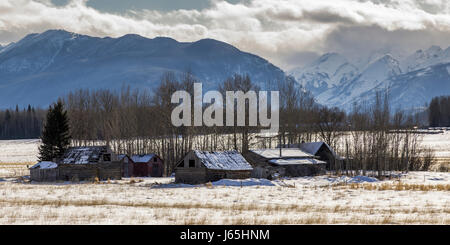 Verlassene Bauernhöfe in Schnee bedeckt Feld, Highway 16, Yellowhead Highway, British Columbia, Kanada Stockfoto