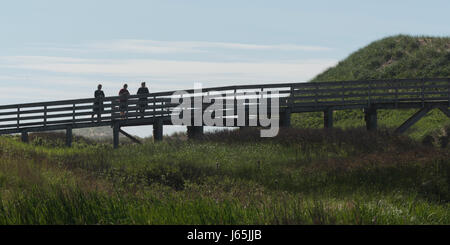 Menschen Sie stehen auf Wandern Fußgängerbrücke in Wiese, Green Gables, Cavendish, Prince Edward Island National Park, Prince-Edward-Insel, Kanada Stockfoto