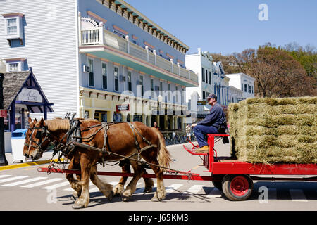 Mackinac Island Michigan, Historic State Parks Park Mackinaw, Straits of, Lake Huron, Main Street, Gebäude, Zugpferd, Zug, Wagen, Friesian, Ballen, Heu, ma Stockfoto