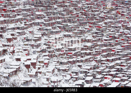 Wuming Buddhist College Schnee der Provinc Seda County, Sichuan, China Stockfoto