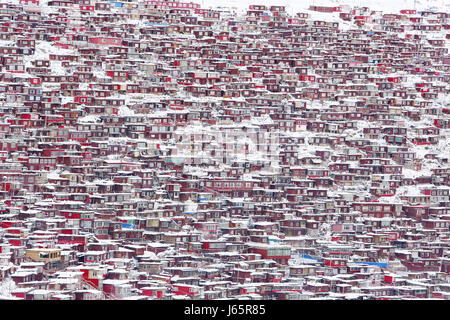 Wuming Buddhist College Schnee der Provinc Seda County, Sichuan, China Stockfoto