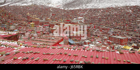 Wuming Buddhist College von Seda County, Sichuan Provinc, China Stockfoto