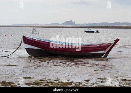 17.05.2017, Lindesfarne Burg, Holy Island, Berwick-upon-Tweed, Northumberland, England, UK Banburgh Castle View von Holy Island im Frühjahr Stockfoto