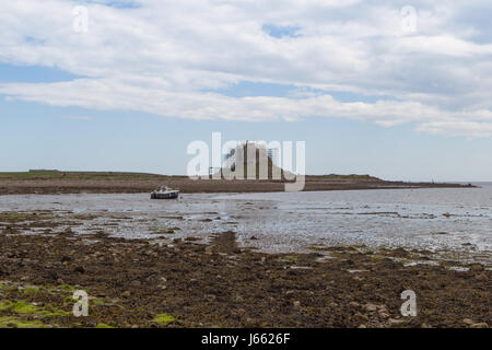 17.05.2017, Lindesfarne Burg, Holy Island, Berwick-upon-Tweed, Northumberland, England, UK Renovierungsarbeiten, Lindesfarne Burg, die unternommen werden Stockfoto