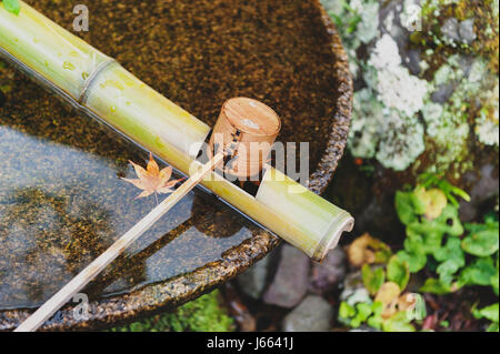 Japanische hölzerne Reinigung Dipper in einem Chozubachi oder Wasser Becken verwendet, um die Hände in japanischen Tempeln, Schreinen und Gärten zu spülen. Stockfoto