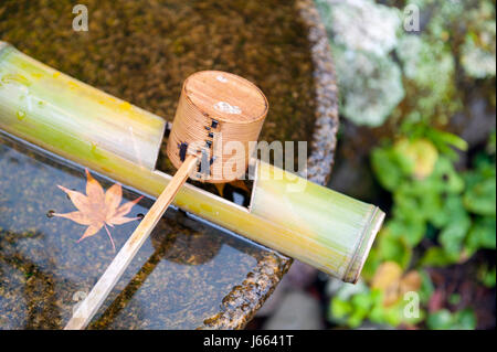 Japanische hölzerne Reinigung Dipper in einem Chozubachi oder Wasser Becken verwendet, um die Hände in japanischen Tempeln, Schreinen und Gärten zu spülen. Stockfoto