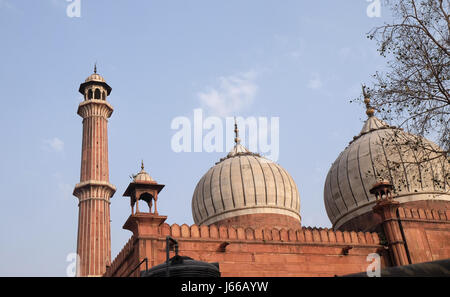 Die spektakuläre Architektur des die große Freitagsmoschee (Jami Masjid) am 13. Februar 2016, Delhi, Indien. Stockfoto