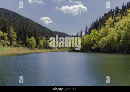 See im Harz Stockfoto