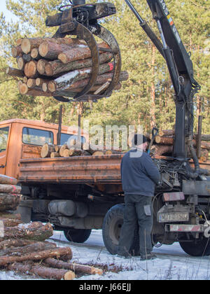 Jozefow, Polen - 23. Januar 2017: Ein Mann be-schneiden Baumstämme auf einen LKW mit einem kleinen Kran-lift Stockfoto