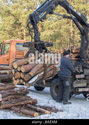 Jozefow, Polen - 23. Januar 2017: Ein Mann be-schneiden Baumstämme auf einen LKW mit einem kleinen Kran-lift Stockfoto