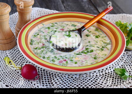 Vegetarische kalte Suppe aus Gemüse: Kartoffeln, Radieschen, Dill, Gurke mit Joghurt in einer Keramikschale. Traditionelle russische kalte Suppe. Gesunde Ernährung. Stockfoto