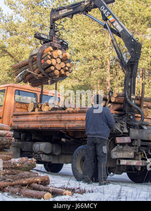 Jozefow, Polen - 23. Januar 2017: Ein Mann be-schneiden Baumstämme auf einen LKW mit einem kleinen Kran-lift Stockfoto