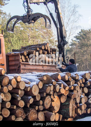 Jozefow, Polen - 23. Januar 2017: Ein Mann be-schneiden Baumstämme auf einen LKW mit einem kleinen Kran-lift Stockfoto