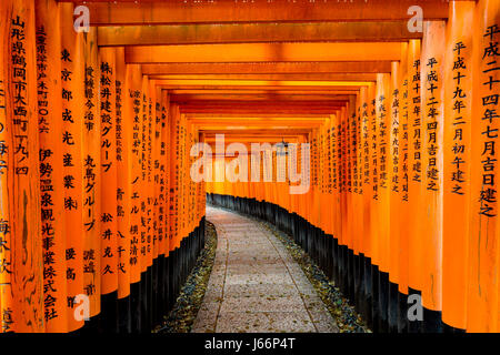 Rote Tori Tor am Fushimi Inari-Schrein in Kyōto, Japan. Stockfoto