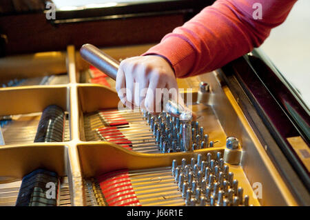 Hand der Mann Klavierstimmer Tuning eines Flügels Stockfoto