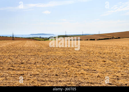 Blick auf einem abgeernteten Getreidefeld Stoppeln, die Insel in der Nähe von Portland, Dorset, Großbritannien Stockfoto