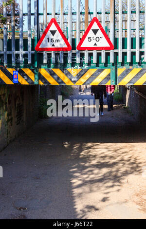 Eine niedrige Eisenbahnbrücke über einen Pfad der Walthamstow Sümpfe überqueren und Coppermill Lane, London, Großbritannien Stockfoto