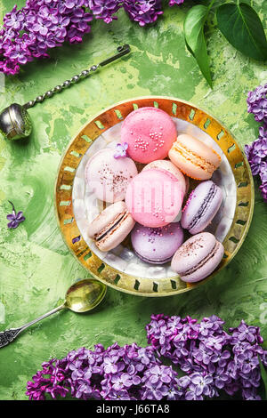 Macarons Kuchen und Zweig der Frühling lila Blüten Stockfoto