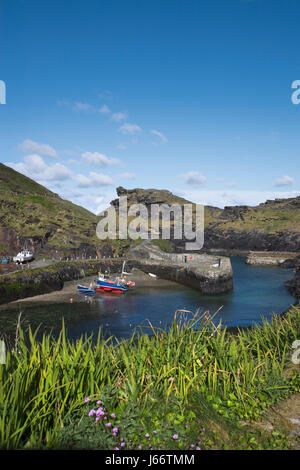 Boscastle Hafen in Cornwall, England, UK Stockfoto