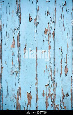 Detail der abblätternde blaue Farbe auf einer alten Holztür Stockfoto