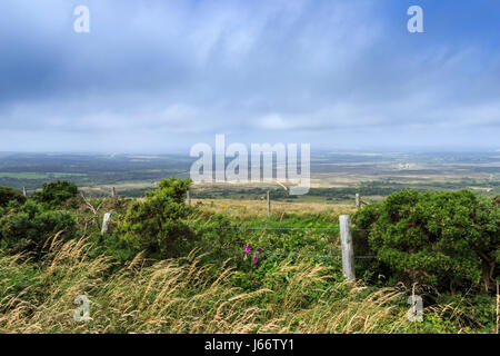 Blick von der South West Coast Path, Dorset, Großbritannien, über Heide und die Armee Schiessanlagen Stockfoto