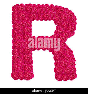 Buchstabe R Alphabet mit Damast rose ABC-Konzept-Typ als Logo auf weißem Hintergrund isoliert Stockfoto