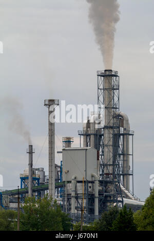 Eine kleine Pflanze am Abend. Rauch kommt aus einer großen Schornstein Stockfoto