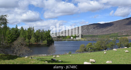 Loch Alvie - Alvie Kirche im Hintergrund Stockfoto