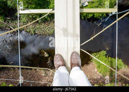 Michigan Mackinaw City, Mackinac State Historic Parks Park, historischer Mill Creek Discovery Park, Forest Canopy Bridge, Blick nach unten, Kabelbrücke, Aufhängung Stockfoto