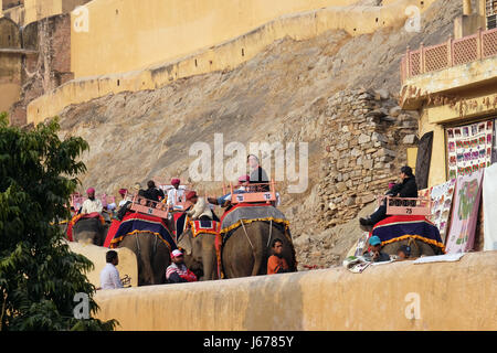 Elefanten, die die Touristen zu Amber Fort in Jaipur, Rajasthan, Indien, am 16. Februar 2016 eingerichtet. Stockfoto