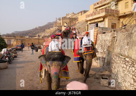 Elefanten, die die Touristen zu Amber Fort in Jaipur, Rajasthan, Indien, am 16. Februar 2016 eingerichtet. Stockfoto