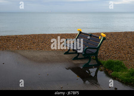 Am Meer-Bank mit gelben Denkmal Blumen Stockfoto