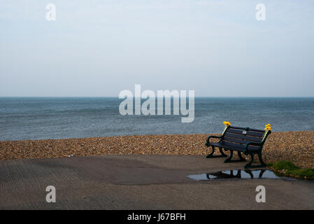 Am Meer-Bank mit gelben Denkmal Blumen Stockfoto