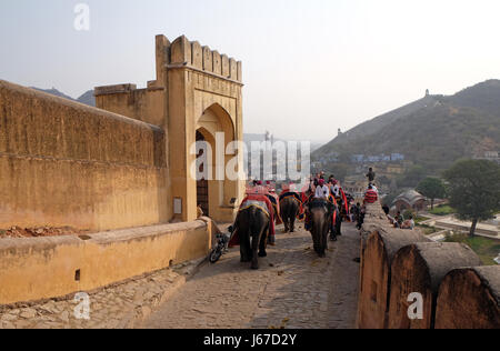 JAIPUR, Indien - Februar 16: Geschmückten Elefanten Touristen bei Amber Fort in Jaipur, Rajasthan, Indien, 16. Februar 2016 warten. Stockfoto