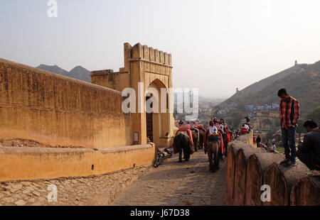 Elefanten, die Touristen bei Amber Fort in Jaipur, Rajasthan, Indien, 16. Februar 2016 warten verziert. Stockfoto