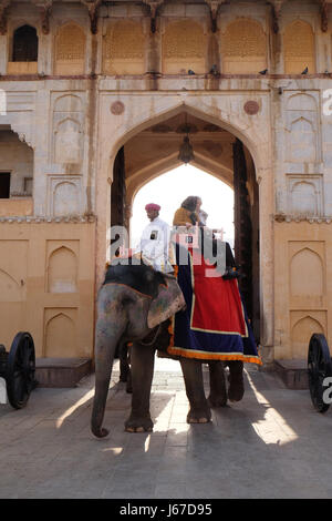 Elefanten, die die Touristen zu Amber Fort in Jaipur, Rajasthan, Indien, am 16. Februar 2016 eingerichtet. Stockfoto