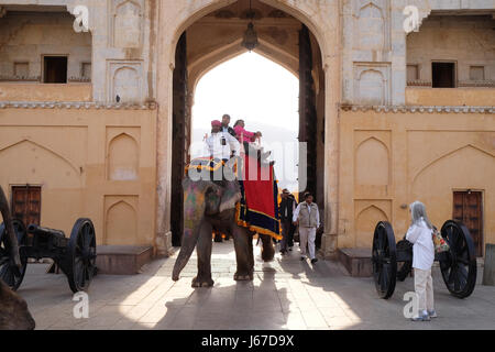 Elefanten, die die Touristen zu Amber Fort in Jaipur, Rajasthan, Indien, am 16. Februar 2016 eingerichtet. Stockfoto